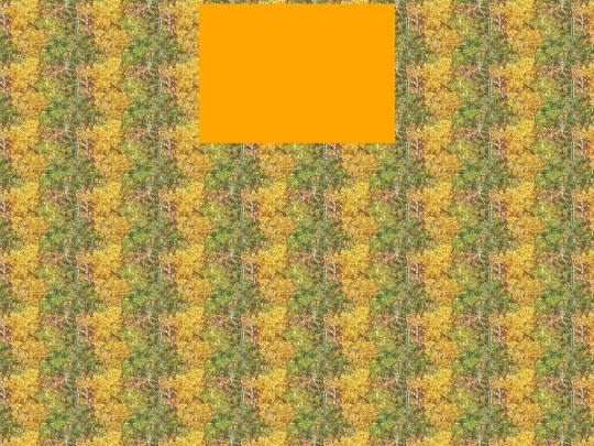 TestHome screenshot