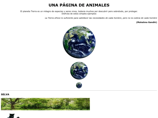ejercicio5/ejercicio05 screenshot
