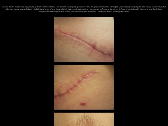 art/identifyingwounds/identifyingwounds screenshot