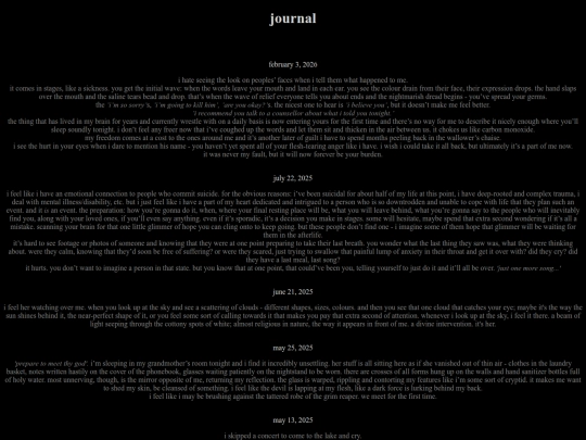 journal screenshot