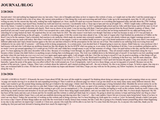 Journal screenshot