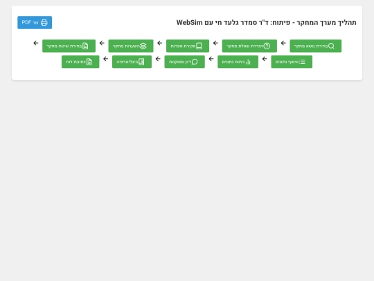 תהליך מערך המחקר screenshot