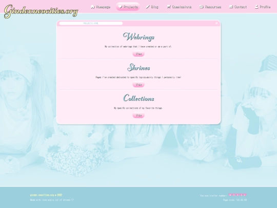 pages/projects screenshot