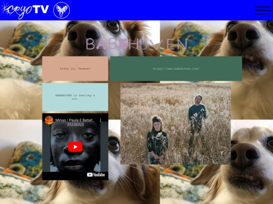 babehoven screenshot