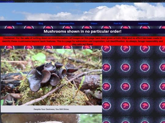 mushroom_pics screenshot