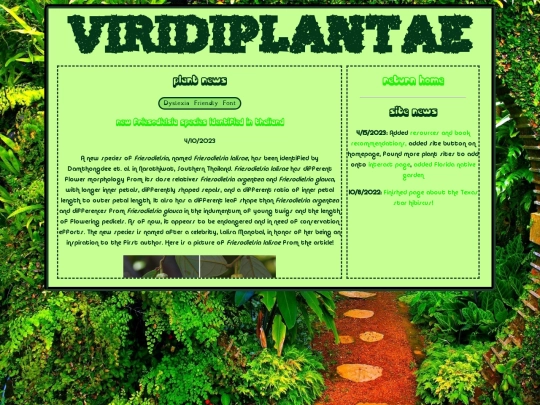 news screenshot
