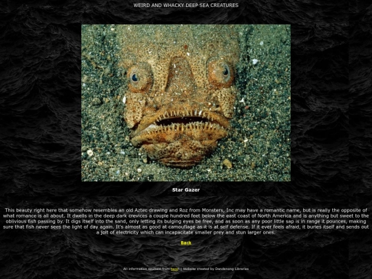 stargazer screenshot