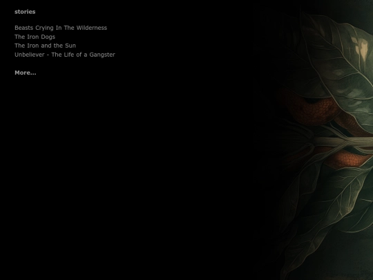 stories/content screenshot