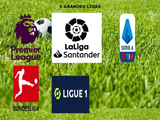 TrabajoFutbol/5grandesligas screenshot