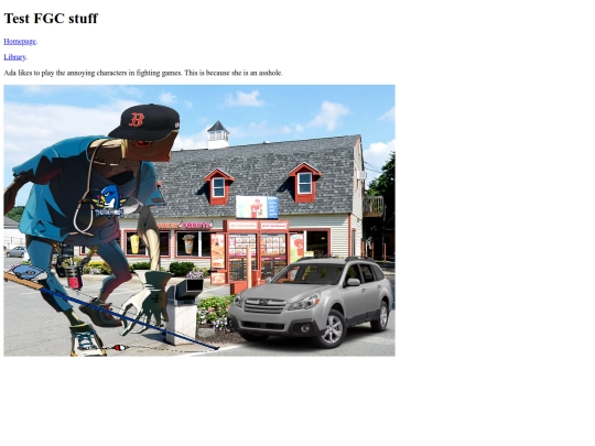 test_fgc screenshot