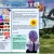 bythemeadow.neocities.org avatar