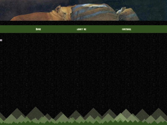 control screenshot