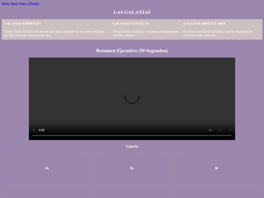 Video y Prompt screenshot