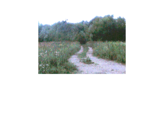 annumind/field screenshot