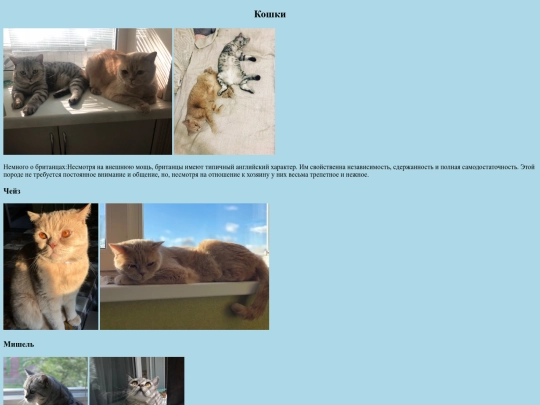 cat screenshot