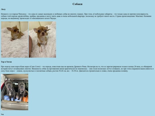 dog screenshot