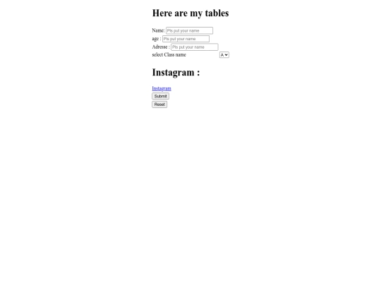 project/inputs screenshot