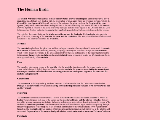 TheHumanBrain screenshot