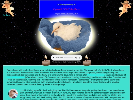 birds/cici screenshot