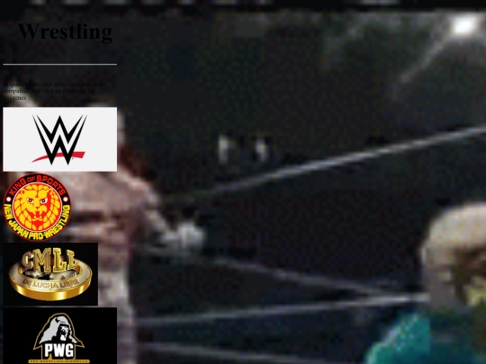 WrestlingWorld screenshot