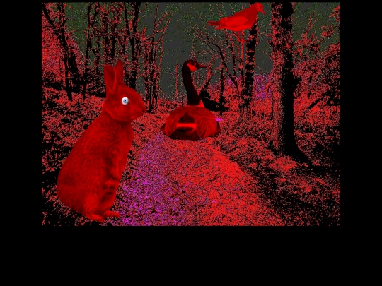travel/blood-forest/menu screenshot