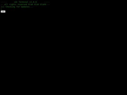 testing/terminal screenshot