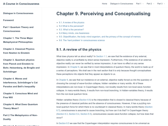 chapter-9-perceiving-conceptualising screenshot