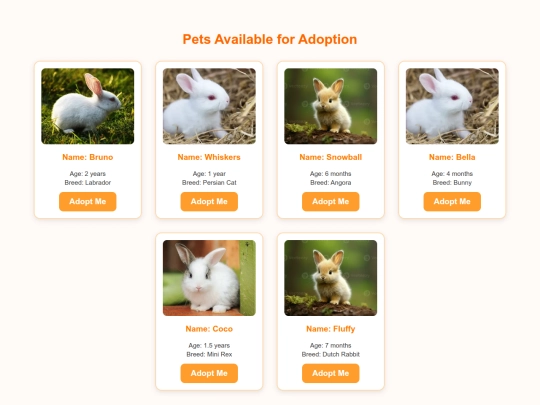 pet-adoption/rabbit screenshot