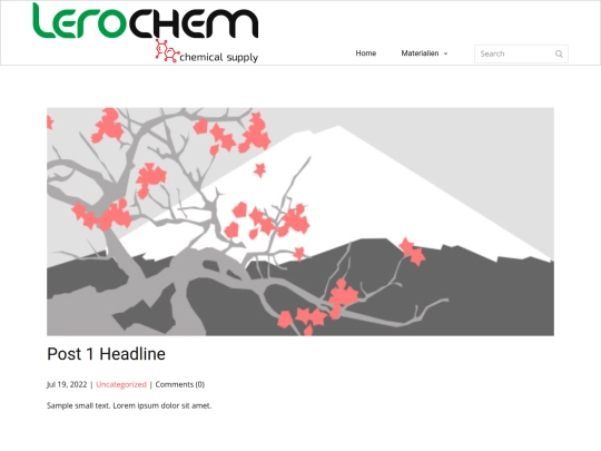 blog/post screenshot