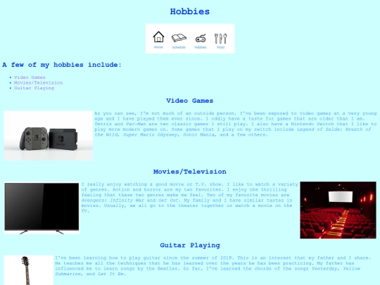 archived_high_school_project/hobbies screenshot