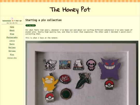blog/2025-07-27_pins screenshot