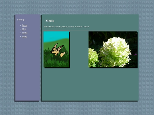 media screenshot