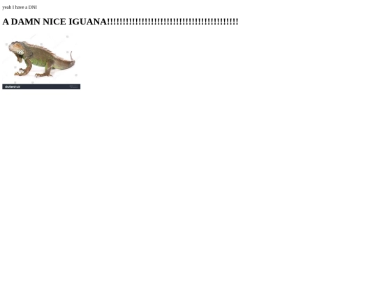dni screenshot