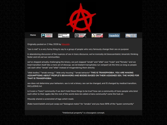 Anarchy/ACAB/WhydoyouhaveaproblemwiththeuseofAMABAFAB screenshot