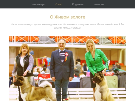 columns screenshot