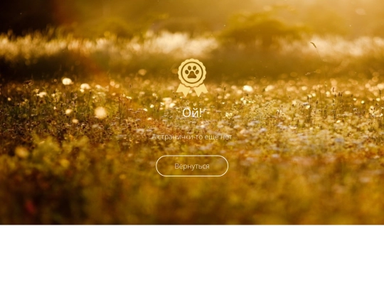 index2 screenshot