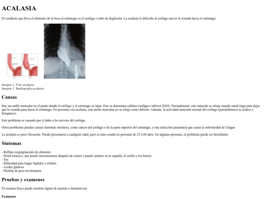 pageA/A1 screenshot