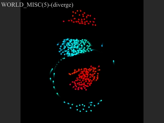 projects/worlds/world_misc(5)-(diverge) screenshot