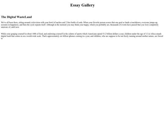 essays screenshot