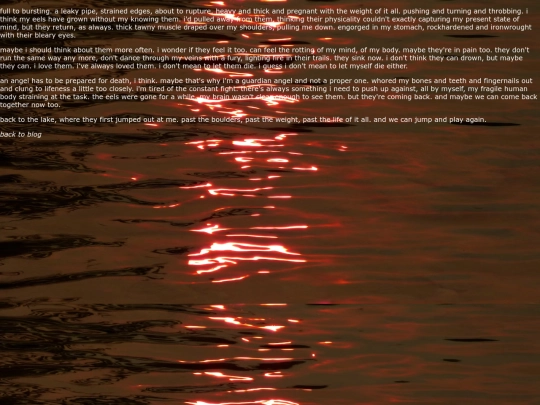 blog/posts/7-18-2024 screenshot
