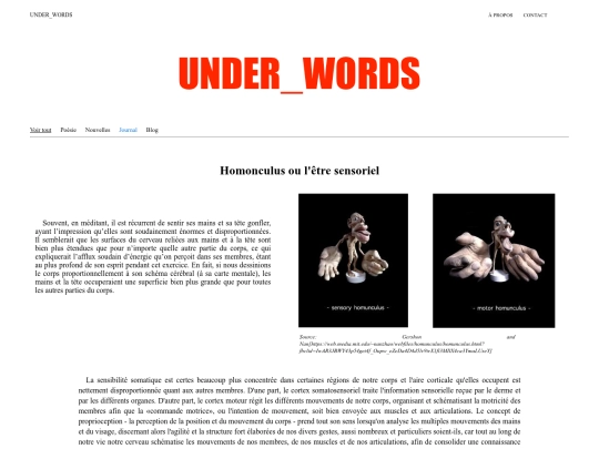 journal/homonculus screenshot