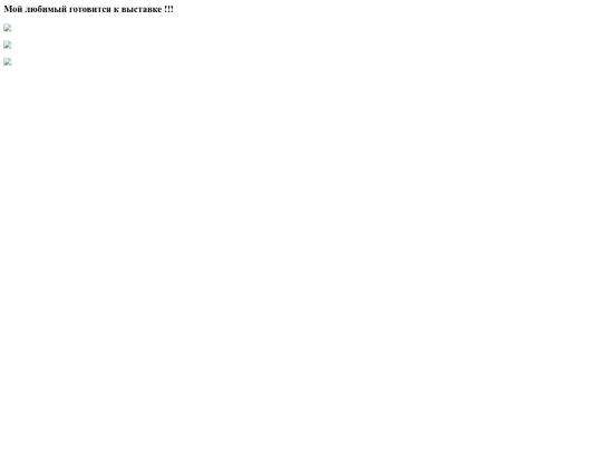 images/штл. screenshot