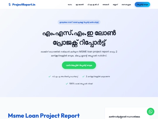 project-report-for-msme-loan screenshot