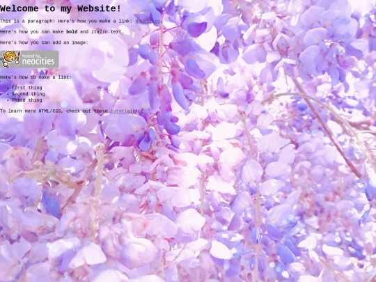 portfolio screenshot