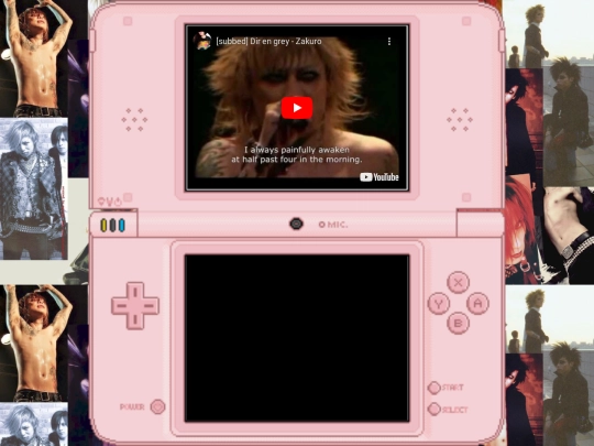 diary screenshot