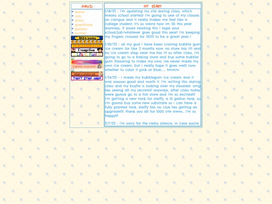 diary screenshot