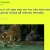 The web site of yusuf12345 avatar