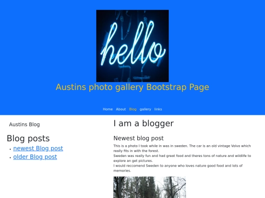 1BS5_blog screenshot
