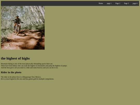 myfirstwebsite screenshot