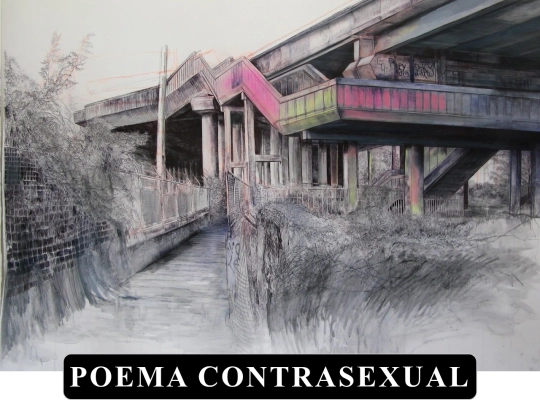Intensidades/Poema-Contrasexual screenshot